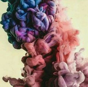 Meet your Posher, Jenelle